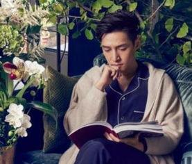 胡歌初恋爆料视频大全最新,揭秘昔日恋情背后的故事